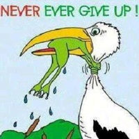 never ever give up